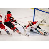 Allen Americans goaltender Zachary Sawchenko vs. the Brampton Beast