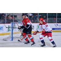 Allen Americans defenseman Cole Fraser (right) vs. the Adirondack Thunder