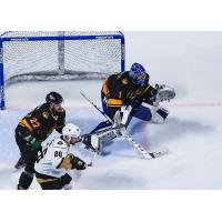 Utah Grizzlies goaltender Martin Ouellette