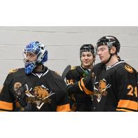 Utah Grizzlies goaltender Martin Ouellette in Utah Wookies jersey