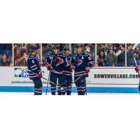 South Carolina Stingrays huddle up