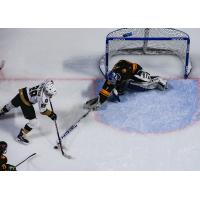Utah Grizzlies goaltender Martin Ouellette