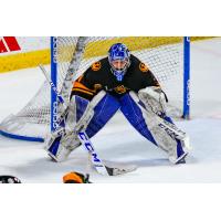 Utah Grizzlies goaltender Martin Ouellette