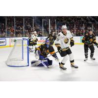 Utah Grizzlies goaltender Martin Ouellette vs. the Newfoundland Growlers