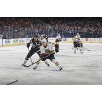 #71 Jordan Nolan of the San Antonio Rampage and Chicago Wolves defenseman Brayden Pachal