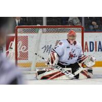 Niagara IceDogs goaltender Tucker Tynan