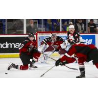 Vancouver Giants defenceman Connor Horning (left) vs. the Prince George Cougars