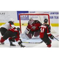 Vancouver Giants goaltender Trent Miner vs. the Prince George Cougars