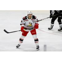 Grand Rapids Griffins forward Matthew Ford