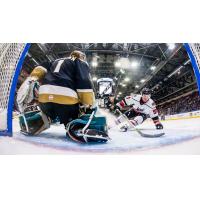 Adirondack Thunder forward Mike Szmatula (right) skates in toward the Newfoundland Growlers goal