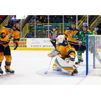 Atlanta Gladiators goaltender Sean Bonar vs. the Florida Everblades