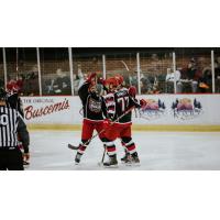 Port Huron Prowlers celebrate a goal