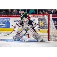 Grand Rapids Griffins goaltender Calvin Pickard