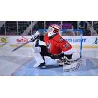 Adirondack Thunder goaltender Eamon McAdam