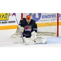 Goaltender Joe Murdaca with the Knoxville Ice Bears