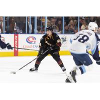 Cleveland Monsters right wing Trey Fix-Wolansky