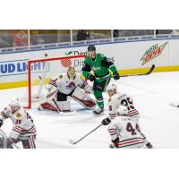Texas Stars right wing Nick Caamano vs. the Rockford IceHogs
