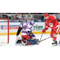 Kitchener Rangers goaltender Jacob Ingham vs. the Soo Greyhounds