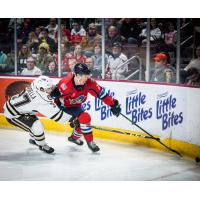 Springfield Thunderbirds skate against the Hershey Bears