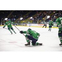 Zach Magwood of the Florida Everblades celebrates a goal