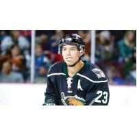 Tim McGauley of the Utah Grizzlies