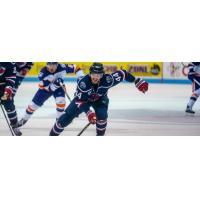 South Carolina Stingrays defenseman Jaynen Rissling