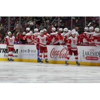 Grand Rapids Griffins get high fives from the bench