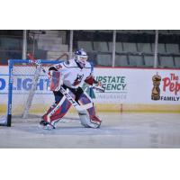 Goaltender Chris Nell with the Adirondack Thunder