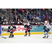Hartford Wolf Pack forward Shawn McBride