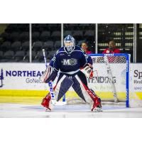 Goaltender Tom McCollum with the Maine Mariners