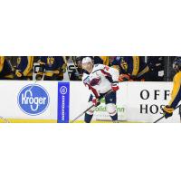 South Carolina Stingrays forward Andrew Cherniwchan
