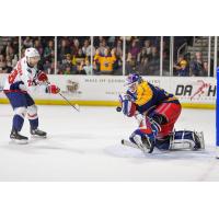 Atlanta Gladiators goaltender Chris Nell stops South Carolina Stingrays forward Andrew Cherniwchan