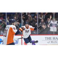 Flint Firebirds celebrate a goal