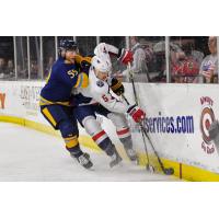 Atlanta Gladiators forward Eric Neiley (left) vs. the South Carolina Stingrays