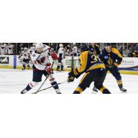 South Carolina Stingrays forward Max Novak (left) vs. the Atlanta Gladiators