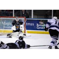 Vancouver Giants goaltender David Tendeck vs. the Victoria Royals