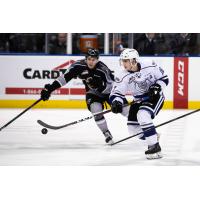 Vancouver Giants left wing Jackson Shepard (left)  vs. the Victoria Royals