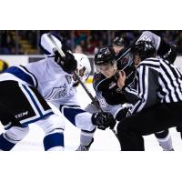 Vancouver Giants centre Evan Patrician (right) faces off with the Victoria Royals