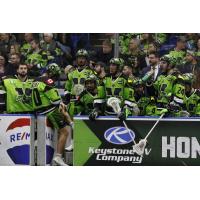 Saskatchewan Rush sideline