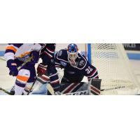 South Carolina Stingrays goaltender Logan Thompson vs. the Orlando Solar Bears