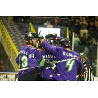 Florida Everblades celebrate a goal against the Jacksonville IceMen