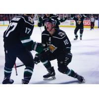 Utah Grizzlies forwards Griffen Molino and Ty Lewis celebrate