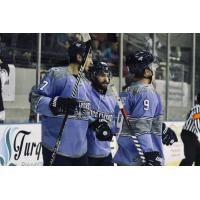 Pensacola Ice Flyers react after a goal