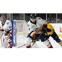 Greenville Swamp Rabbits defenseman Adam Larkin against the Atlanta Gladiators