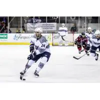 Forward Eddie Matsushima with the Pensacola Ice Flyers