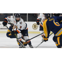 Greenville Swamp Rabbits forward Mason Baptista vs. the Atlanta Gladiators