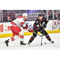 Cleveland Monsters right wing Maxime Fortier (right) vs. the Charlotte Checkers