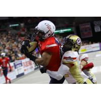 Sioux Falls Storm wide receiver Brandon Sheperd makes a catch against the Quad City Steamwheelers