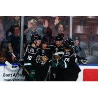 Utah Grizzlies react celebrate a goal against the Tulsa Oilers