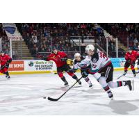 Kelowna Rockets left wing Dillon Hamaliuk vs. the Prince George Cougars